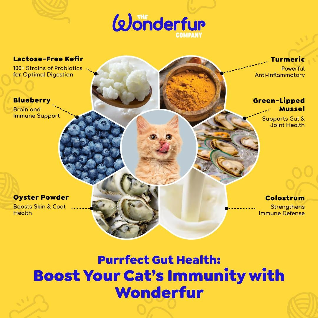 Wonderfur Bites Senior Support Cat Supplement