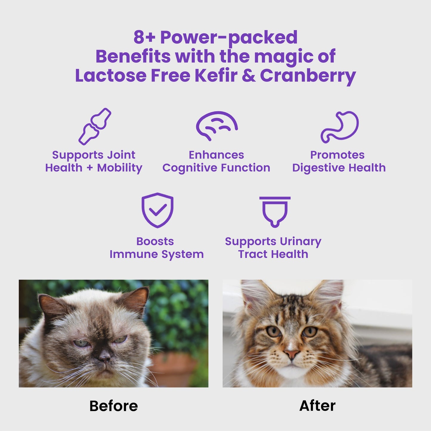 Wonderfur Bites Senior Support Cat Supplement
