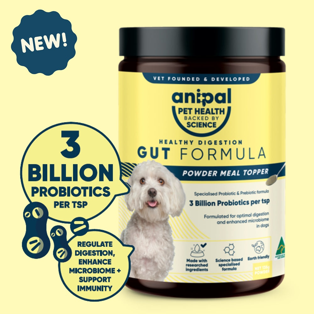 Anipal Dog Gut Formula Powder Meal Topper