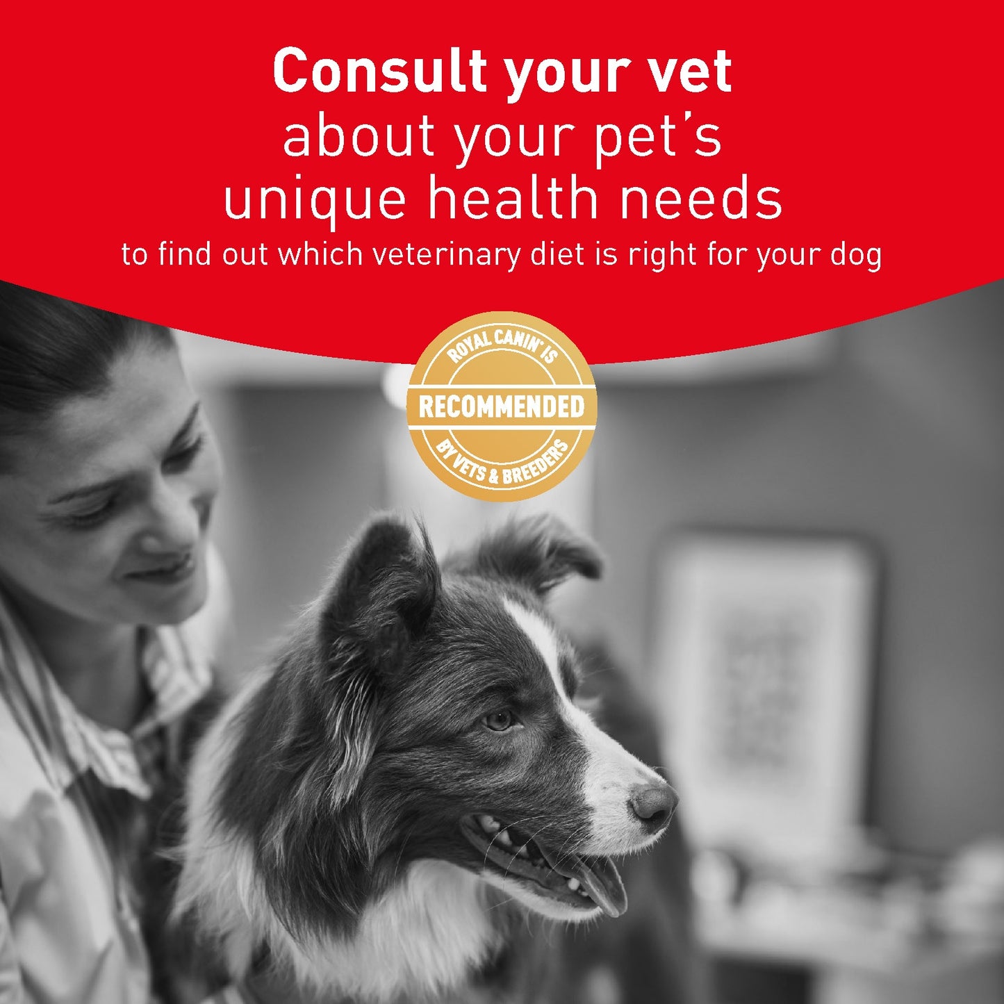 Royal Canin Veterinary Glycobalance Dry Dog Food