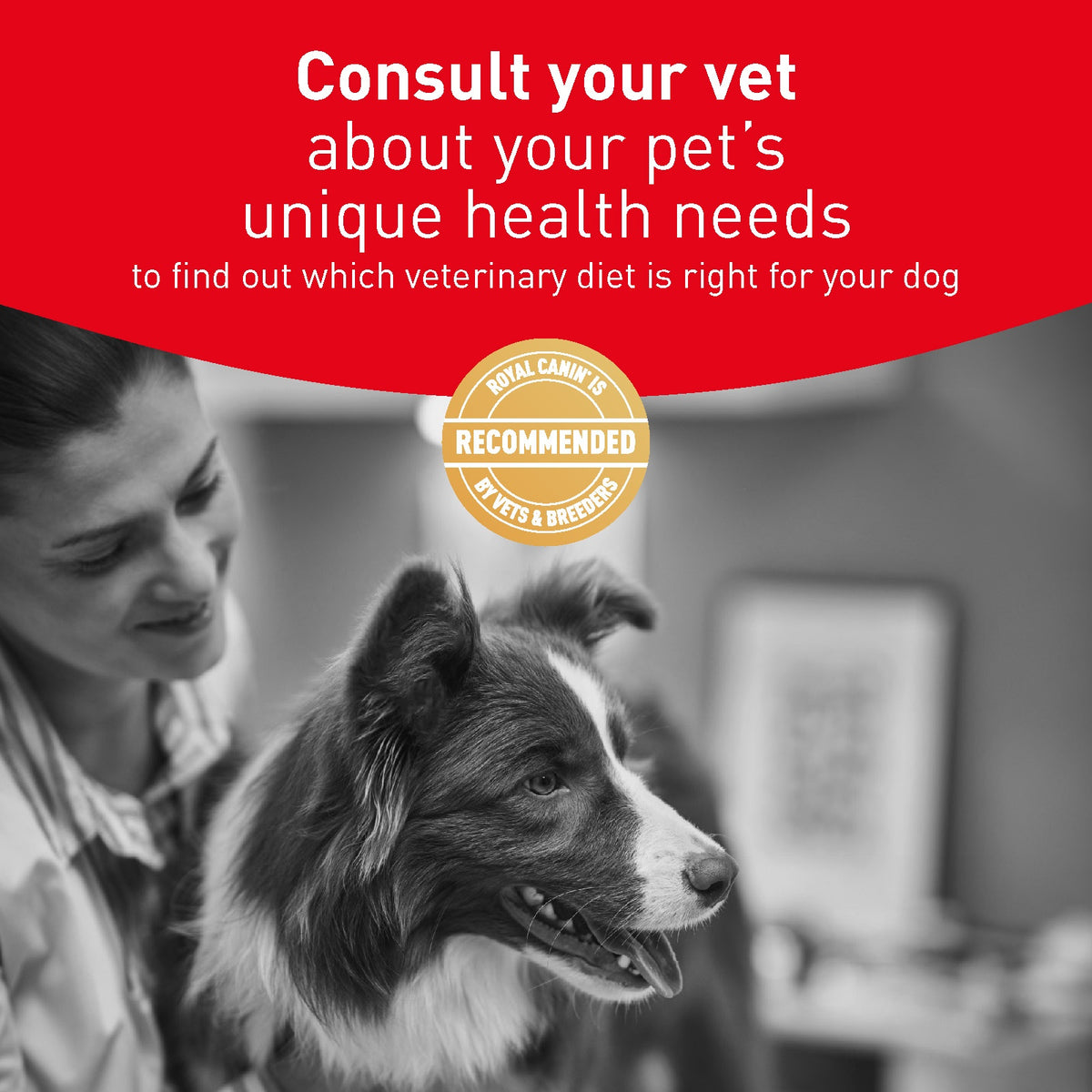 Royal Canin Veterinary Glycobalance Dry Dog Food