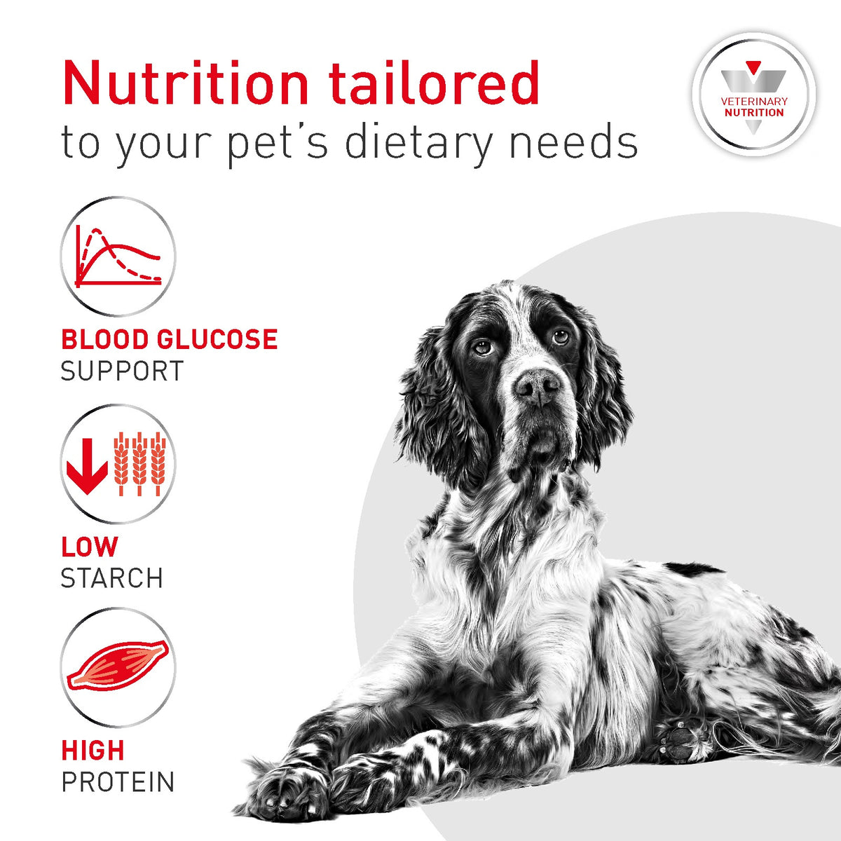 Royal Canin Veterinary Glycobalance Dry Dog Food