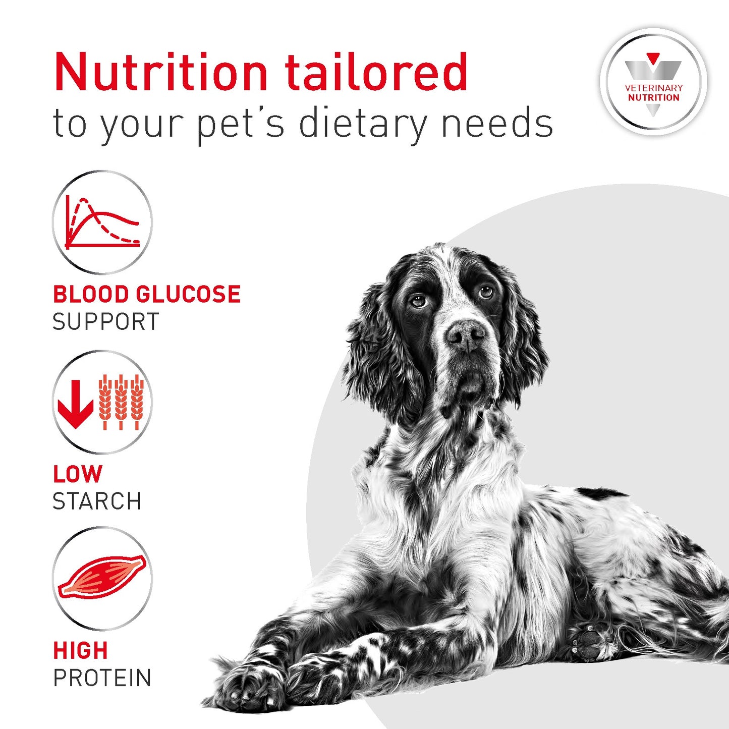 Royal Canin Veterinary Glycobalance Wet Dog Food