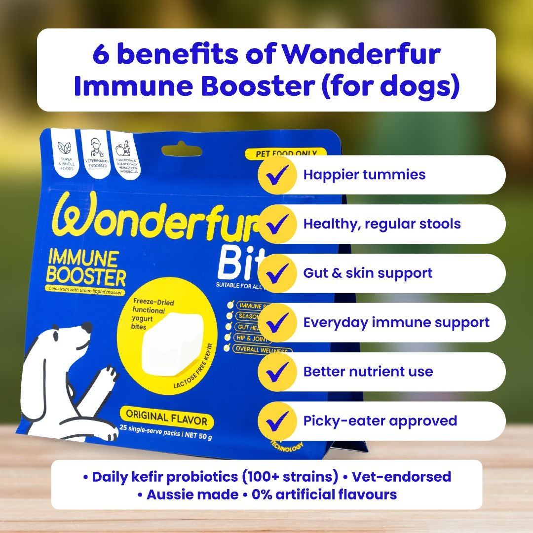 Wonderfur Bites Immune Booster Dog Supplement