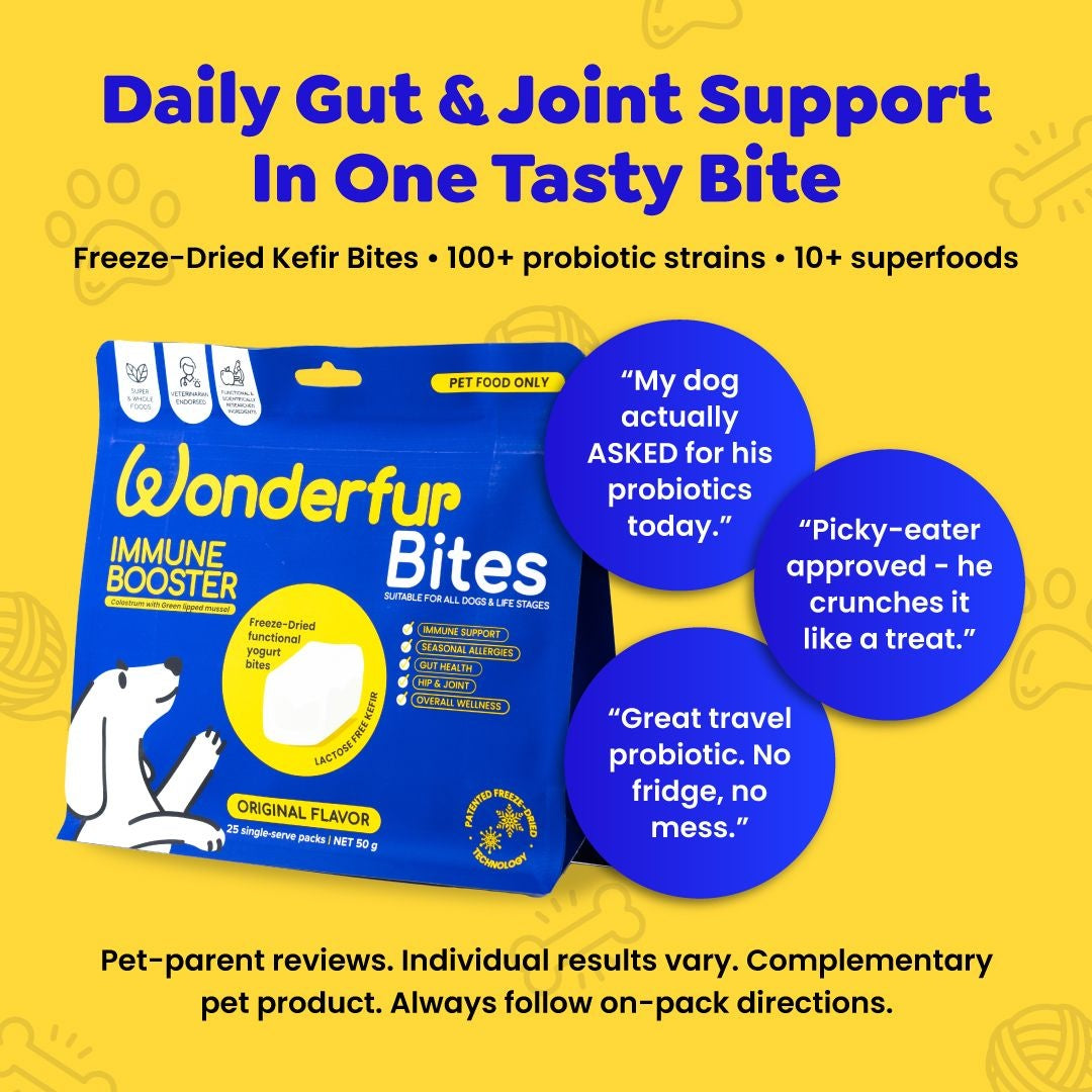Wonderfur Bites Immune Booster Dog Supplement
