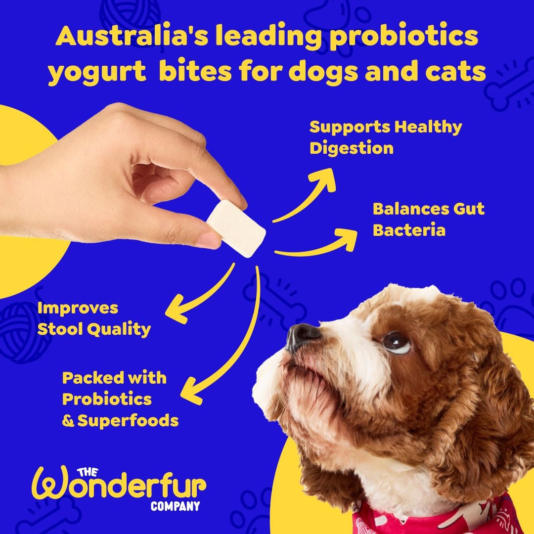 Wonderfur Bites Immune Booster Dog Supplement