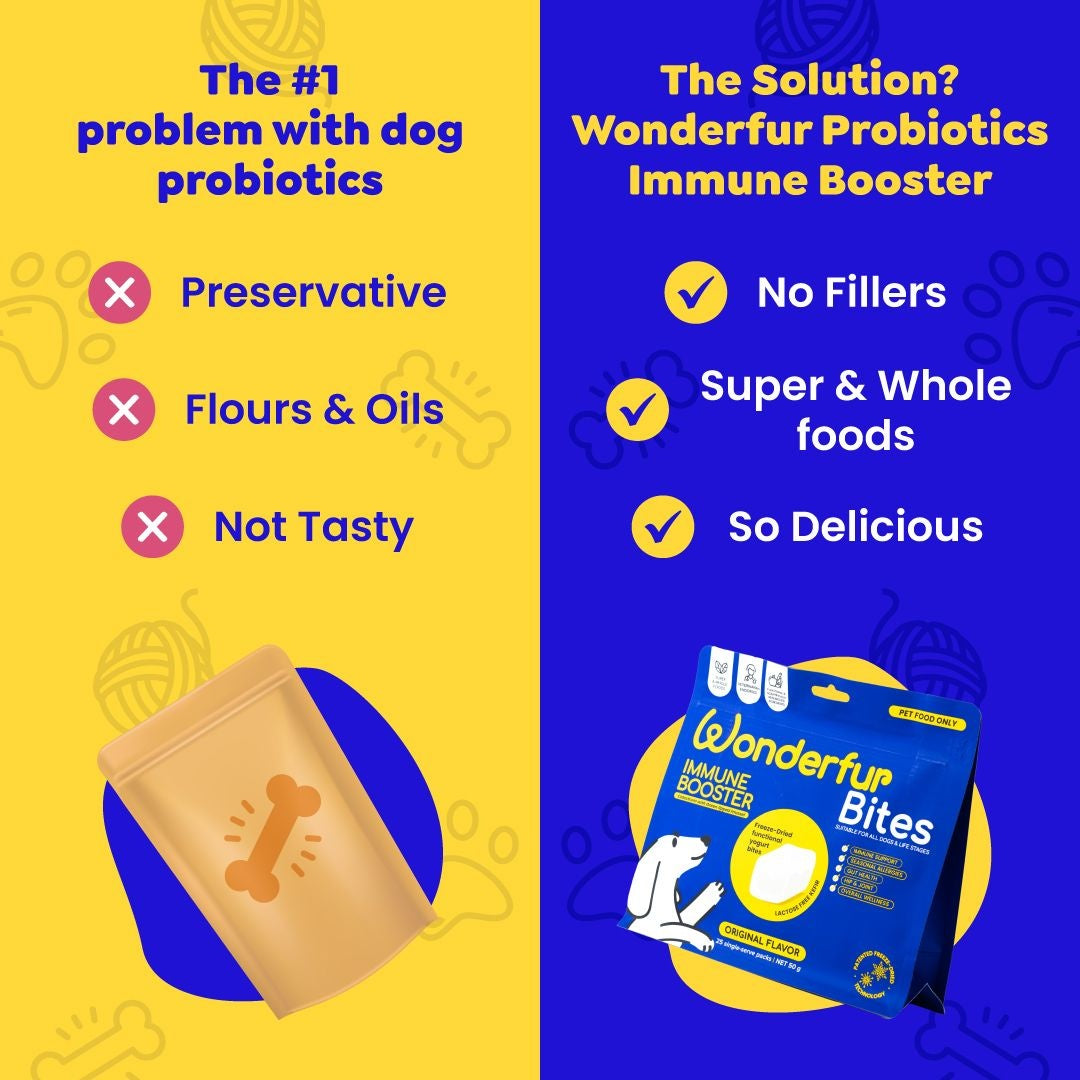 Wonderfur Bites Immune Booster Dog Supplement