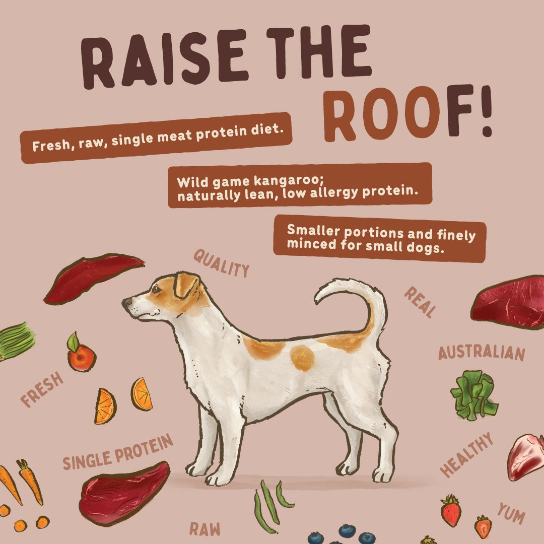 Big Dog Kanga Raw Small Dog Food
