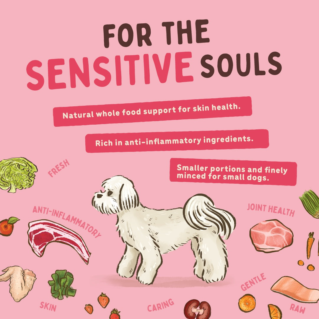 Big Dog Sensitive Skin Raw Small Dog Food