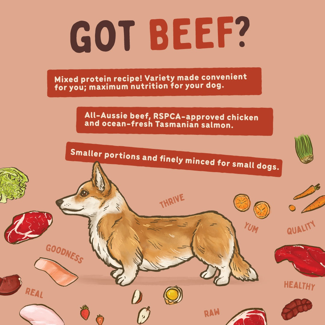 Big Dog Beef Raw Small Dog Food