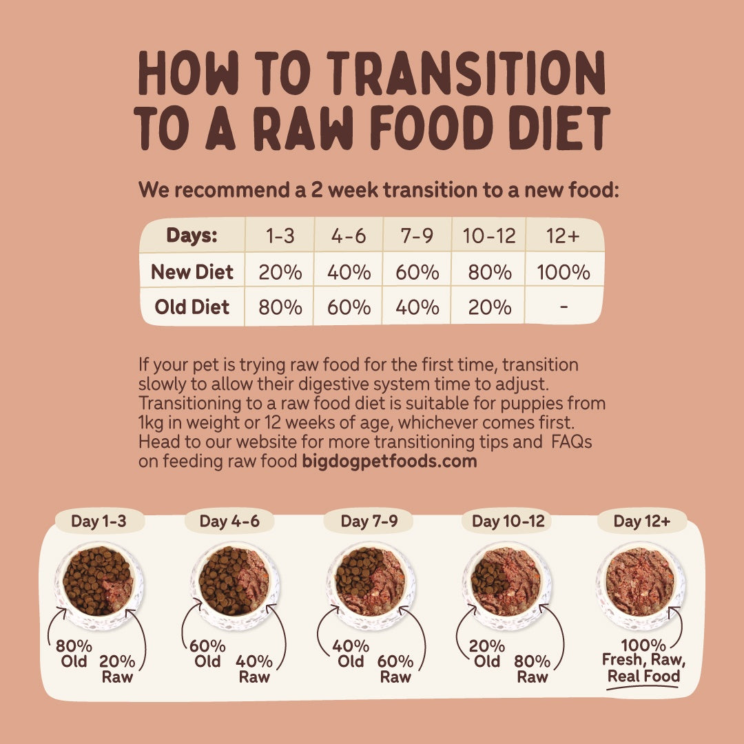 Big Dog Beef Raw Small Dog Food