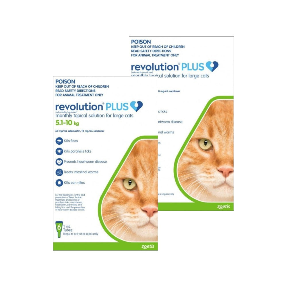 Revolution Plus Flea & Tick Treatment 5-10kg Cat