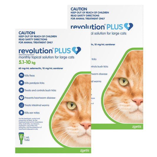 Revolution Plus Large Cat 5.1-10kg Flea, Tick & Worm Spot-On Treatment