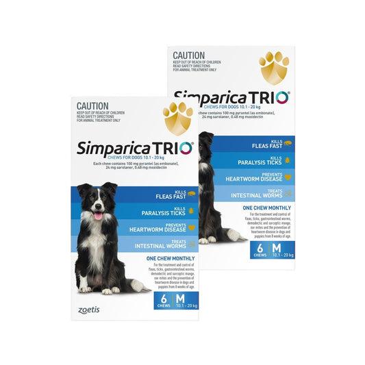 Simparica Trio Medium Breed 10.1-20kg Flea, Tick & Worm Dog Chews