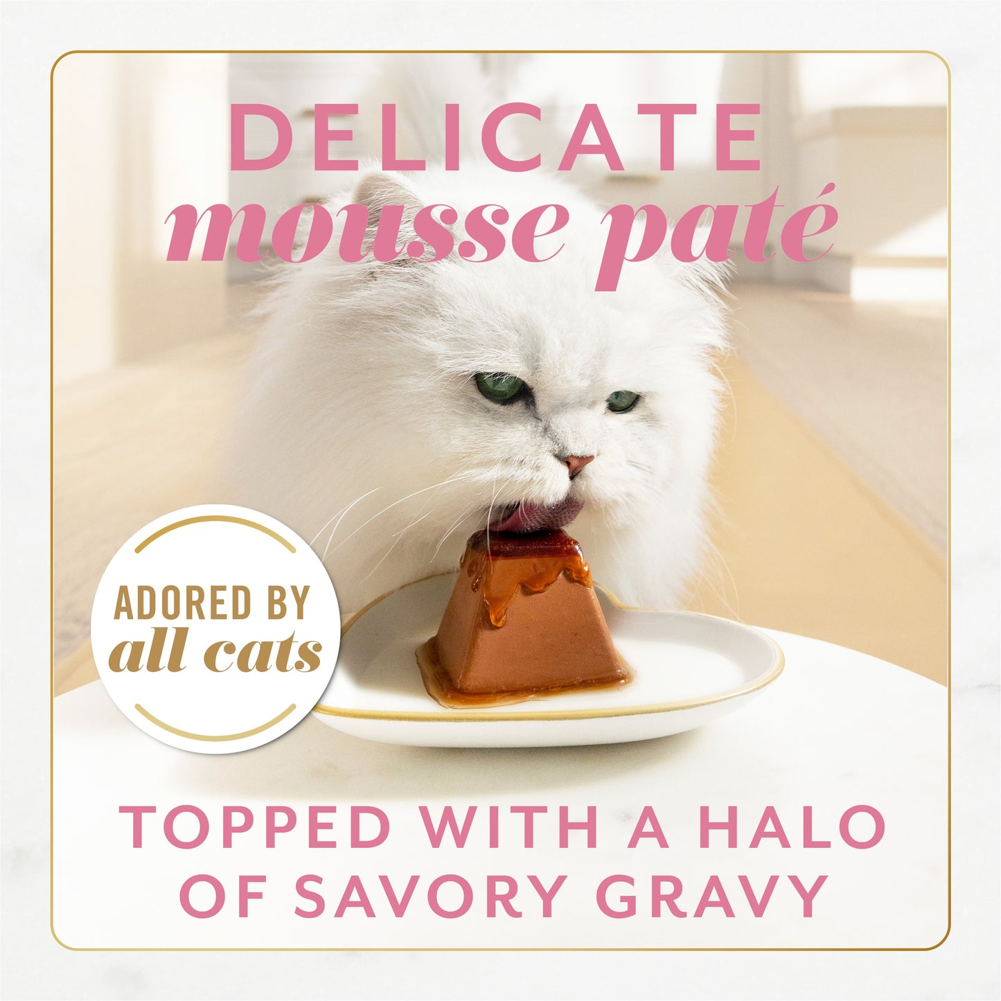 Fancy Feast Gems Mousse Paté with Salmon Gravy Cat Food