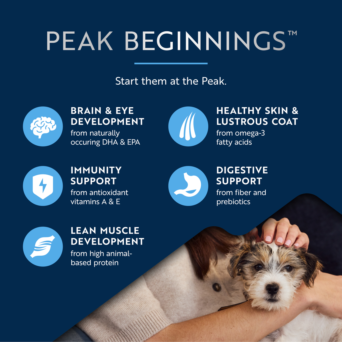 ZIWI Peak Puppy Chicken & Lamb Wet Dog Food