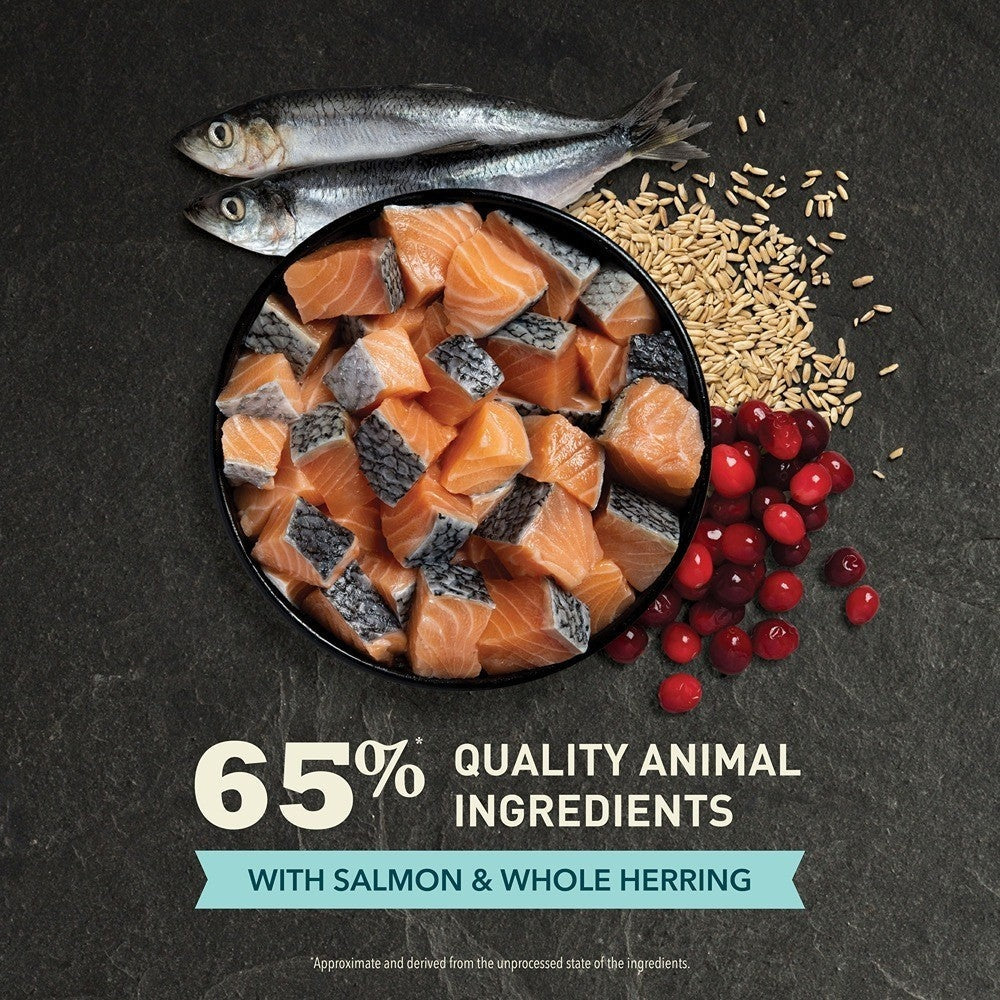 Acana Adult Bountiful Catch + Salmon & Chicken Cat Food Bundle