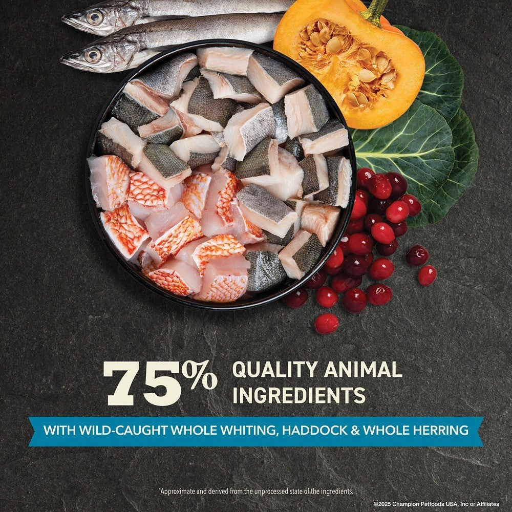 Acana Adult Wild Atlantic + Salmon & Chicken Cat Food Bundle