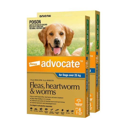 Advocate Extra Large Breed 25kg+ Flea & Worming Spot-On Dog Treatment