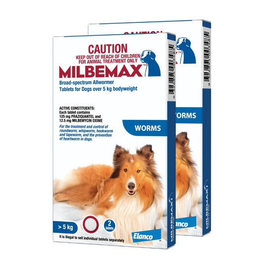Milbemax Allwormer >5kg Dog 2 Pack