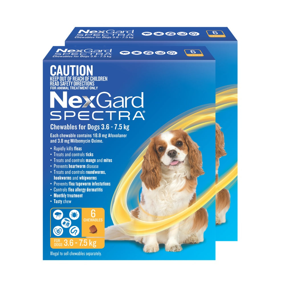 NexGard Spectra Small Breed 3.6-7.5kg Flea, Tick & Worming Dog Chews