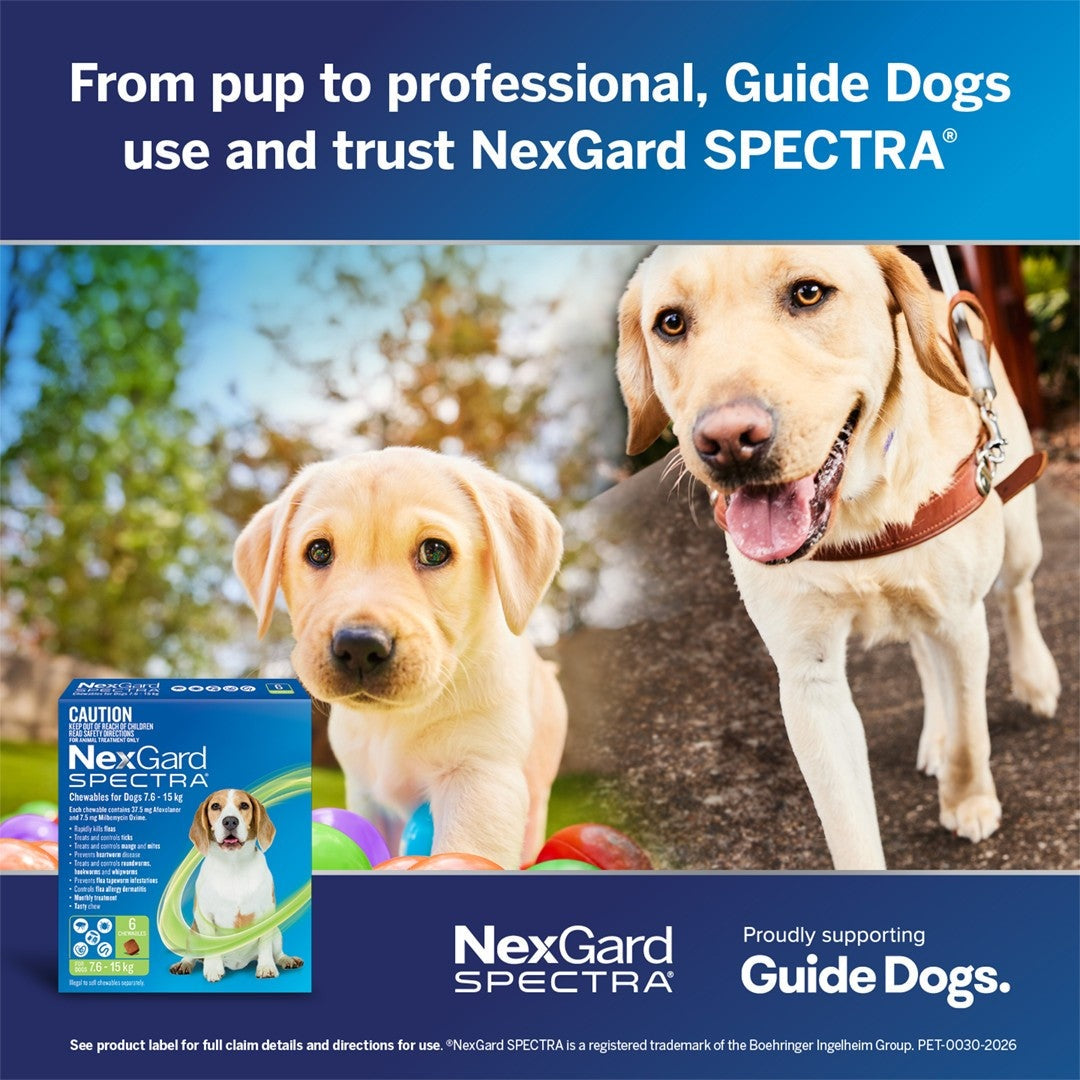 NexGard Spectra Medium Breed 7.6-15kg Flea, Tick & Worming Dog Chews