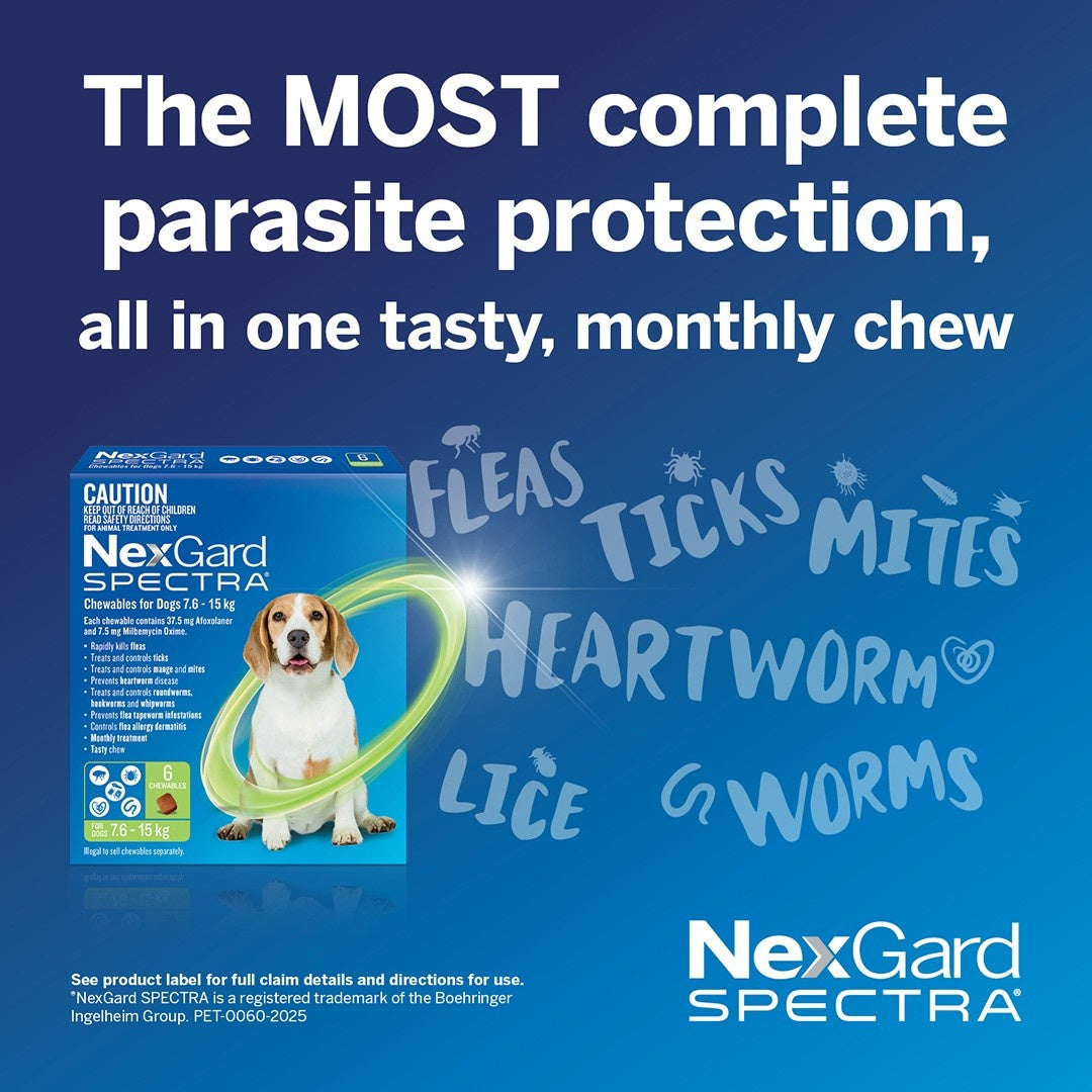 NexGard Spectra Medium Breed 7.6-15kg Flea, Tick & Worming Dog Chews
