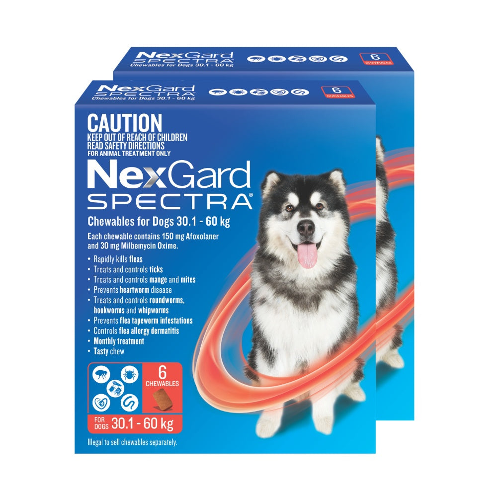 NexGard Spectra Extra Large Breed 30.1-60kg Flea, Tick & Worming Dog Chews
