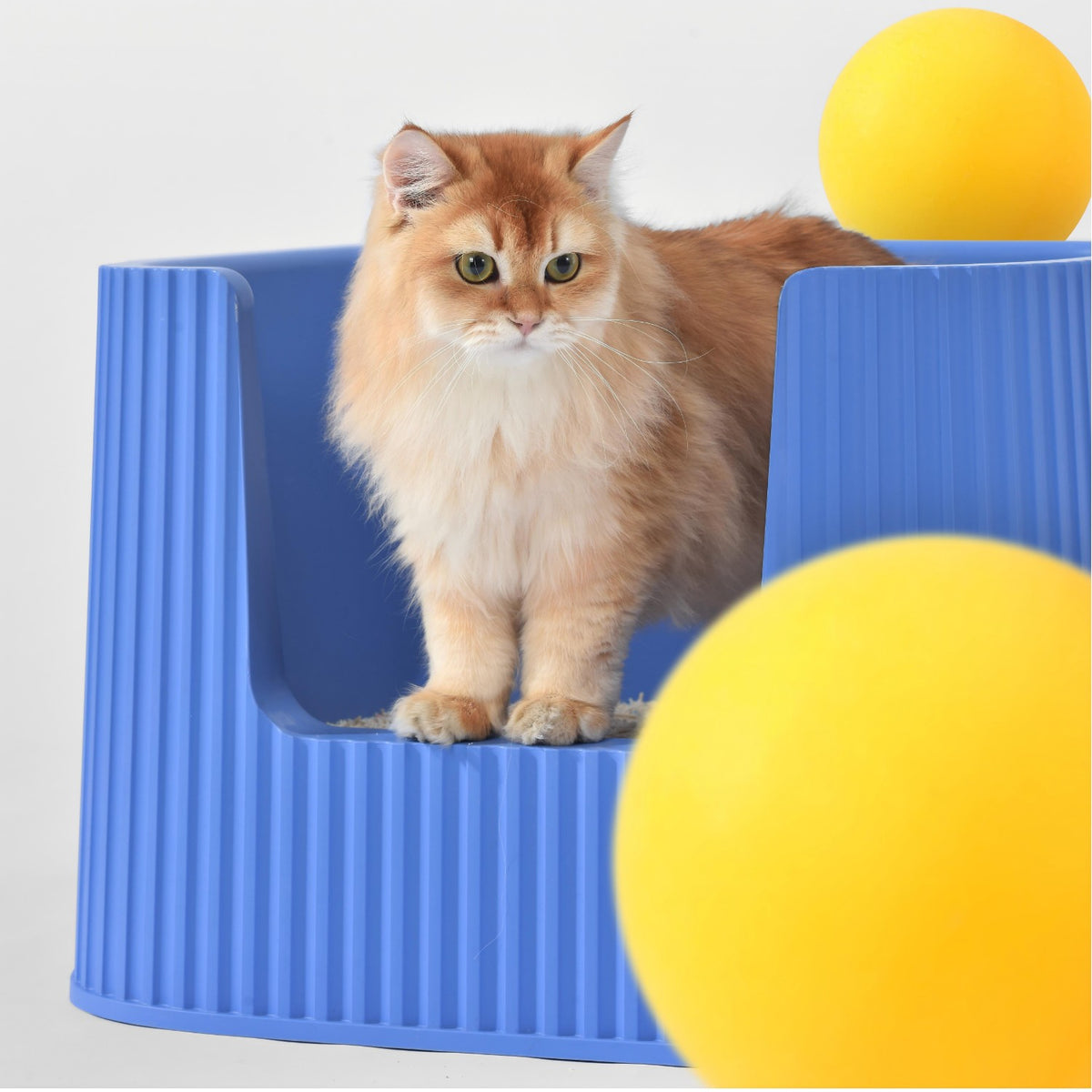 Michu XXL Container & Scoop Cat Litter Box