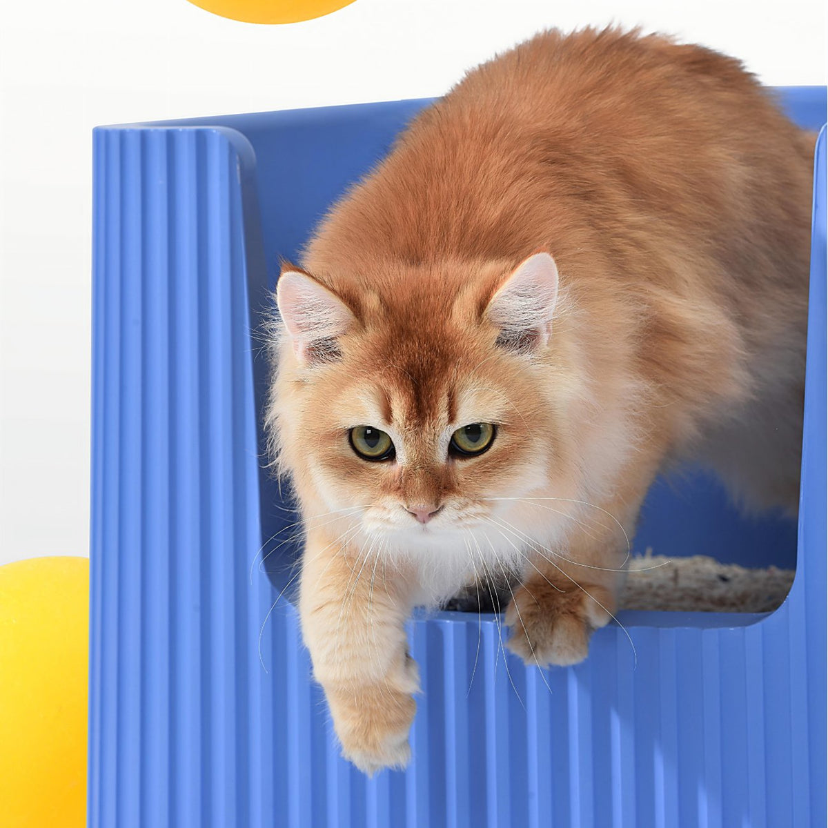 Michu XXL Container & Scoop Cat Litter Box