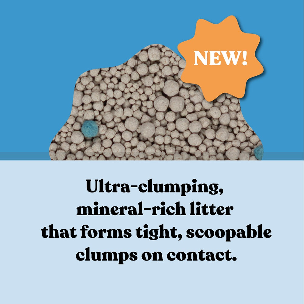 Squat Club Fast Clumping Clay Cat Litter