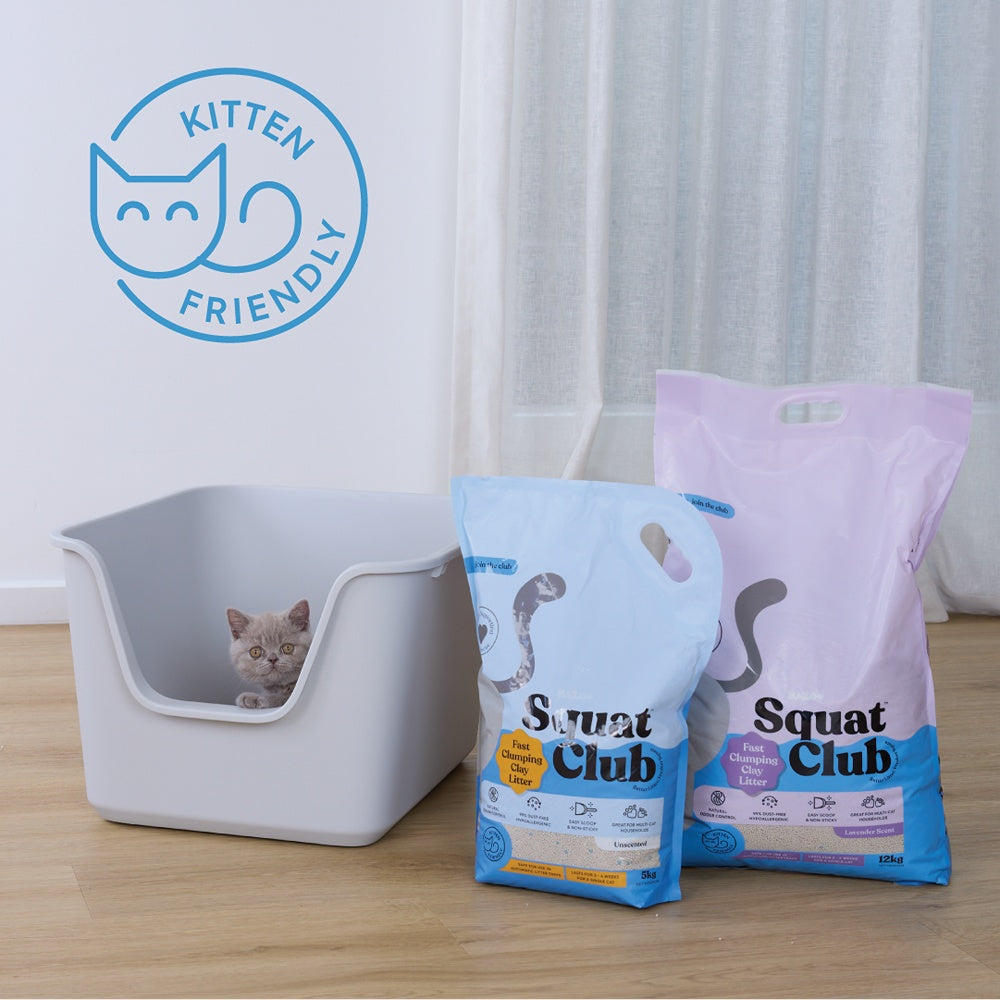 Squat Club Fast Clumping Clay Cat Litter