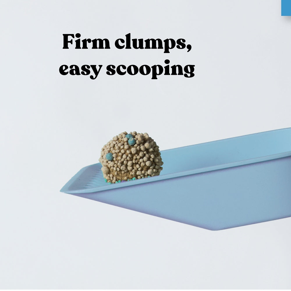 Squat Club Fast Clumping Clay Cat Litter
