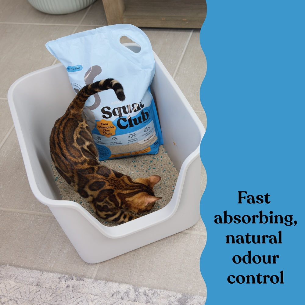 Squat Club Fast Clumping Clay Cat Litter