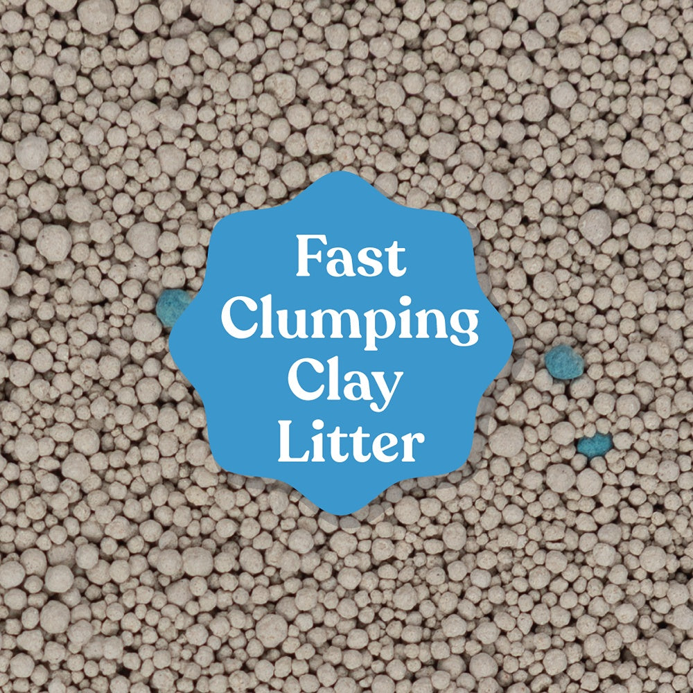 Squat Club Fast Clumping Clay Cat Litter