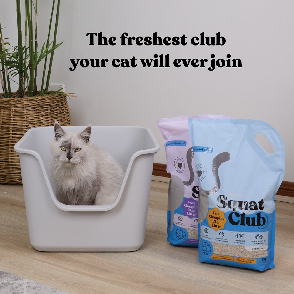 Squat Club Fast Clumping Lavender Scented Clay Cat Litter