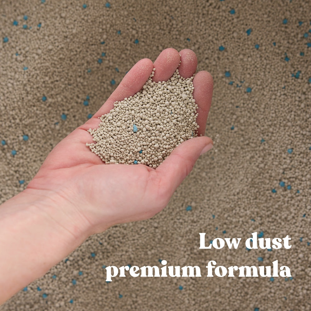 Squat Club Fast Clumping Lavender Scented Clay Cat Litter