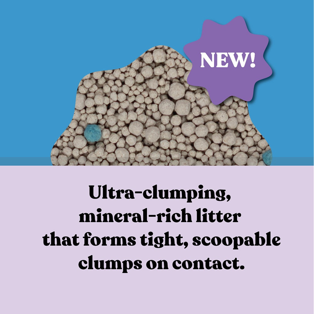 Squat Club Fast Clumping Lavender Scented Clay Cat Litter