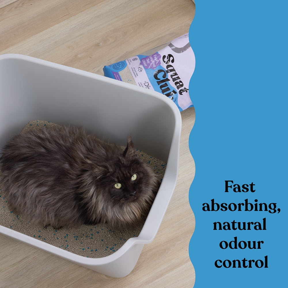Squat Club Fast Clumping Lavender Scented Clay Cat Litter