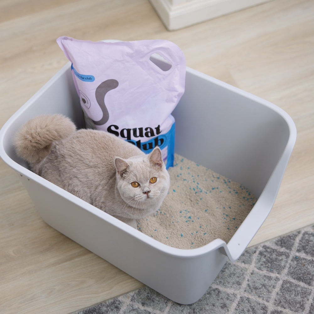 Squat Club Fast Clumping Lavender Scented Clay Cat Litter