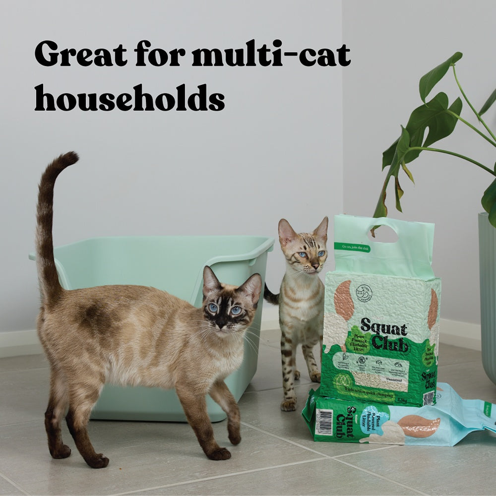 Squat Club Tofu Plant Powered Flushable Cat Litter