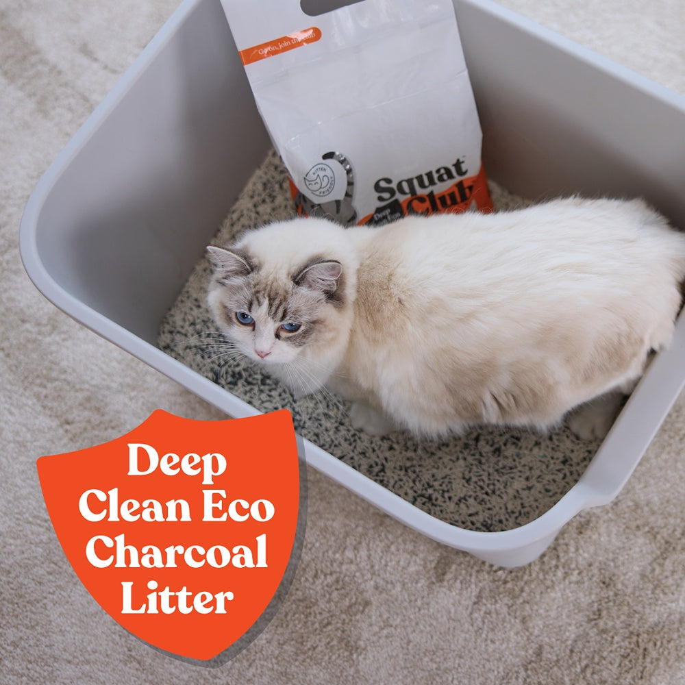 Squat Club Deep Clean Eco Charcoal Cat Litter