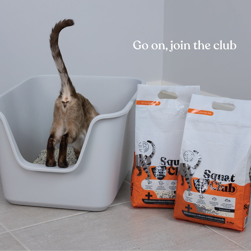 Squat Club Deep Clean Eco Charcoal Cat Litter