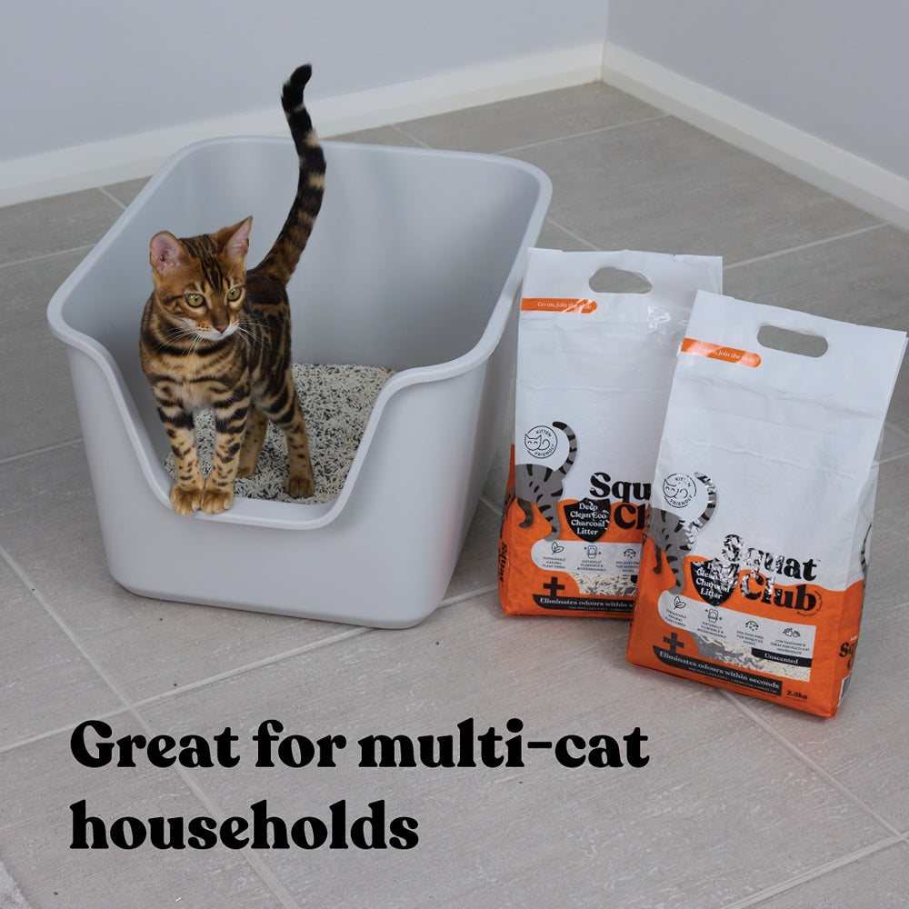 Squat Club Deep Clean Eco Charcoal Cat Litter