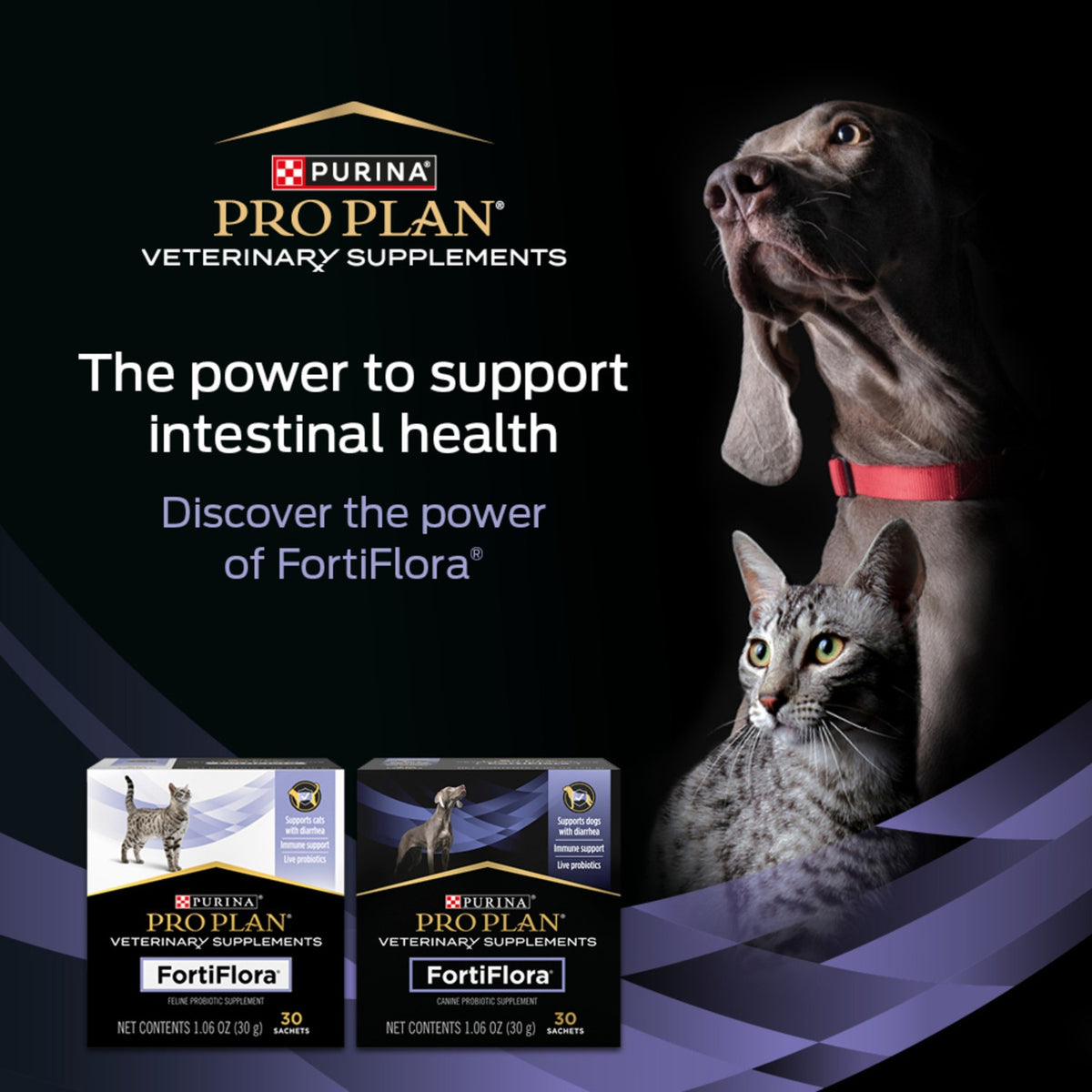 Pro Plan Vet Supplement FortiFlora Canine Probiotic