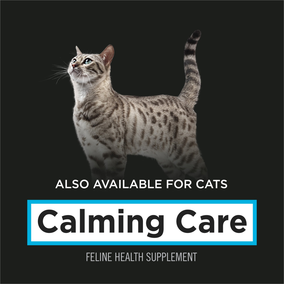 Pro Plan Vet Supplement Canine Calming Care