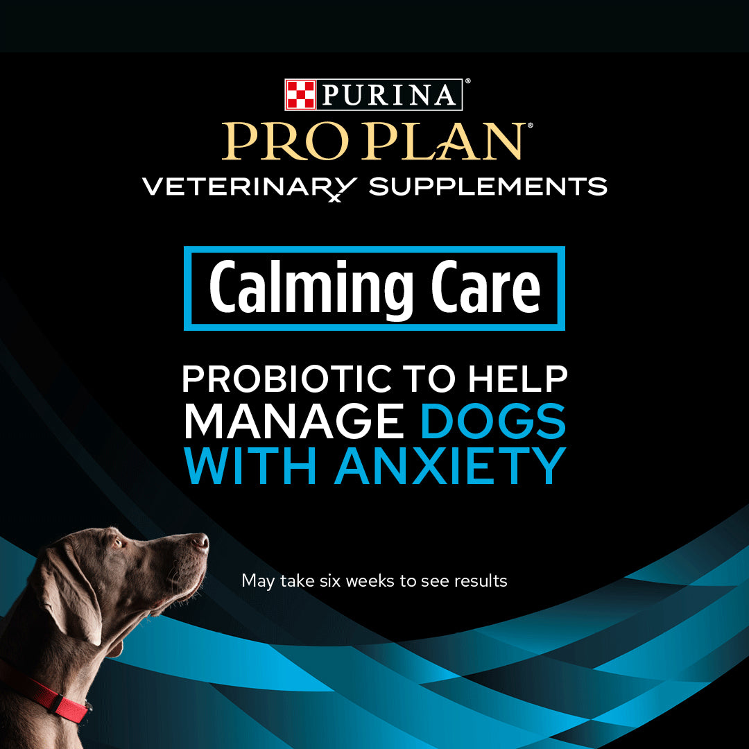 Pro Plan Vet Supplement Canine Calming Care