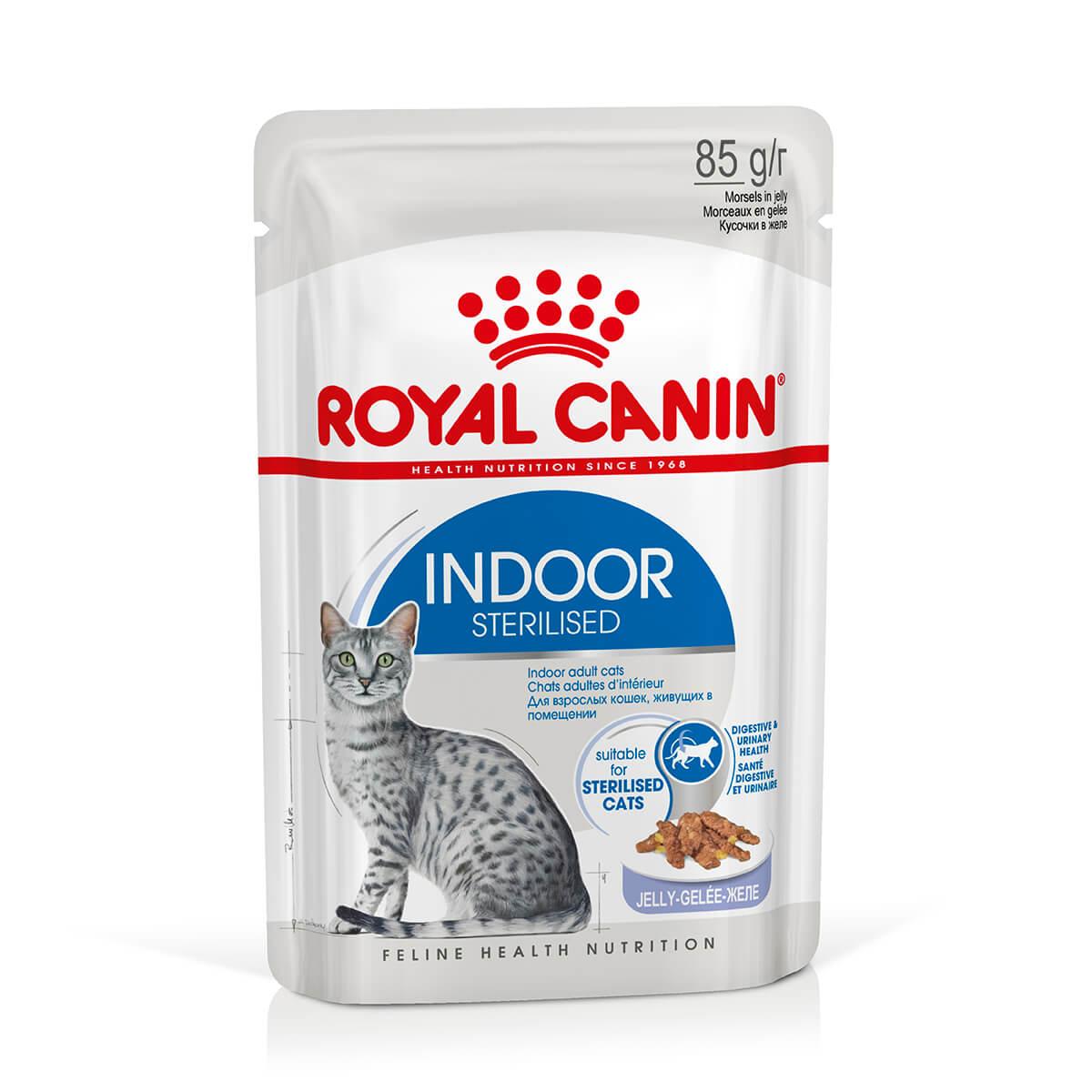 Royal Canin Indoor Jelly Wet Cat Food