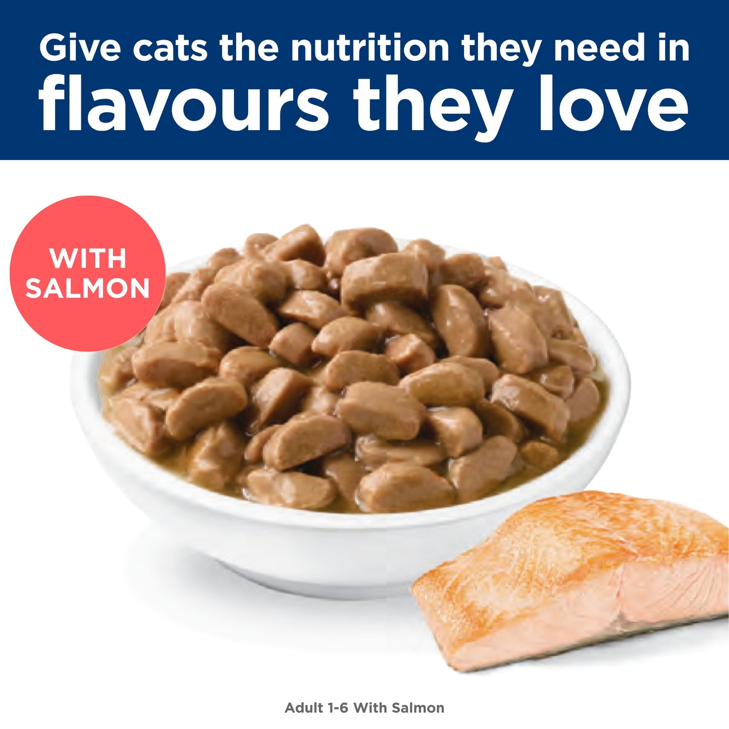 Hill's Science Diet Adult Ocean Fish Pouches Wet Cat Food