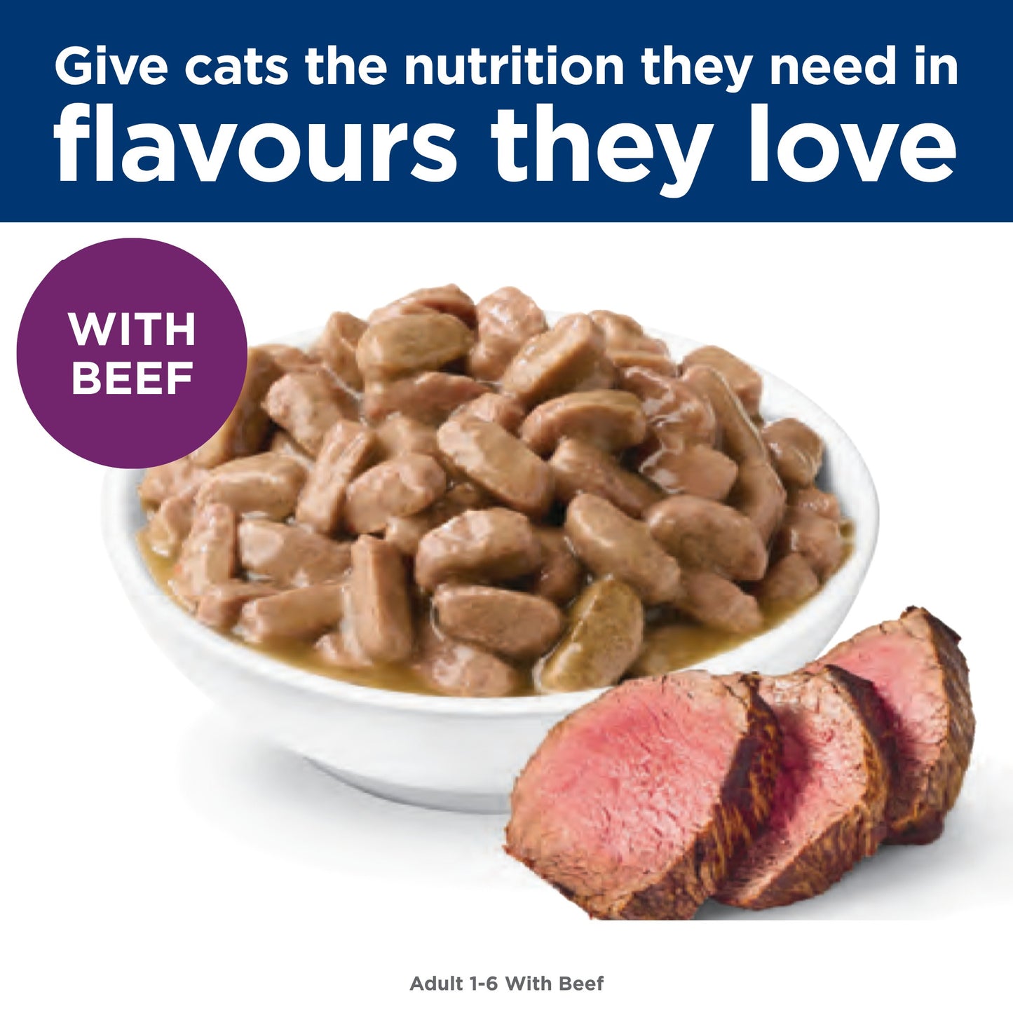 Hill's Science Diet Adult Beef Wet Cat Food
